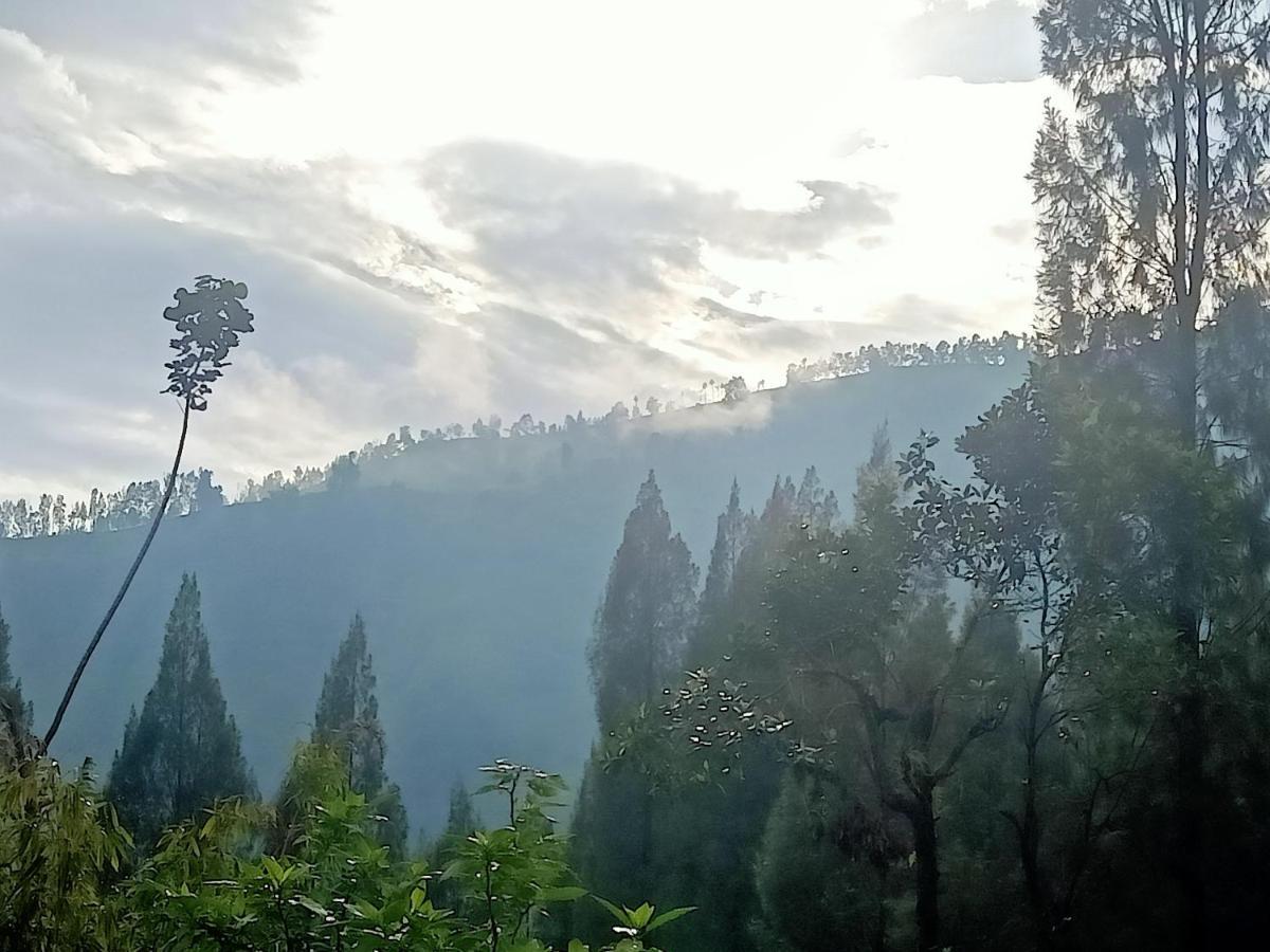 Istana Bromo Resort Exterior photo